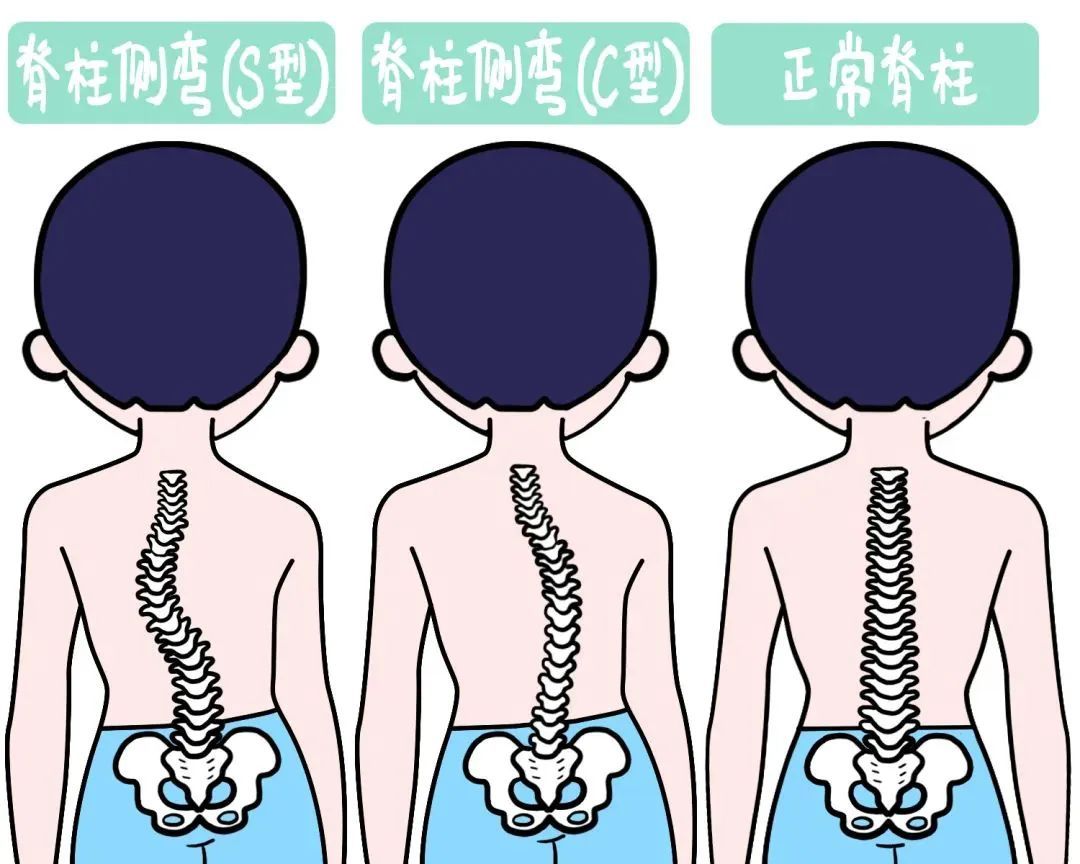 第447页