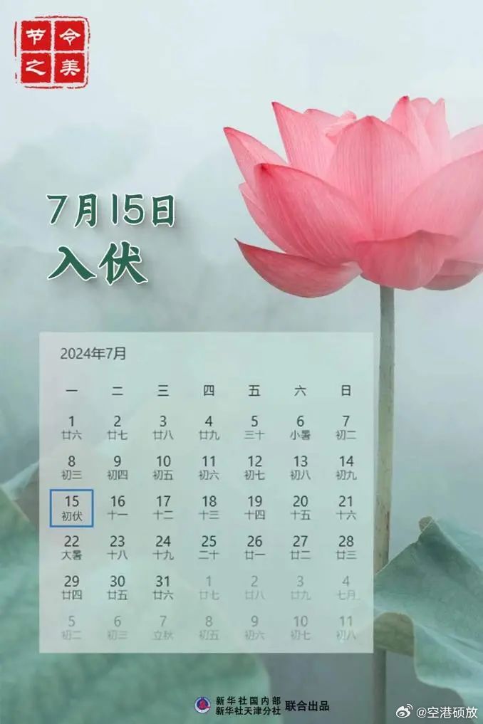第443页