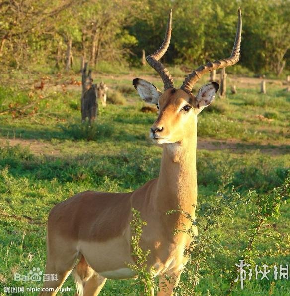 热点生活 第30页