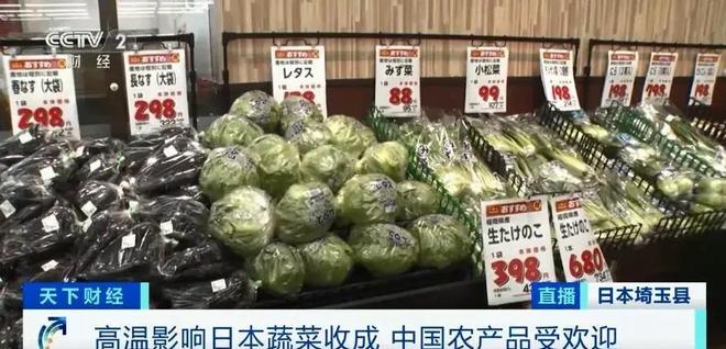 游戏专题 第20页