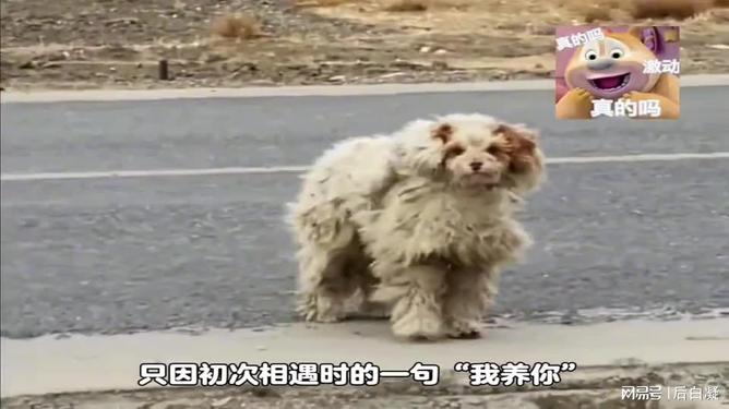 第268页
